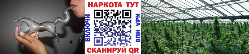 Купить наркотики сайты Кимовск Кокаин Alpha PVP ГАШИШ Марихуана Меф