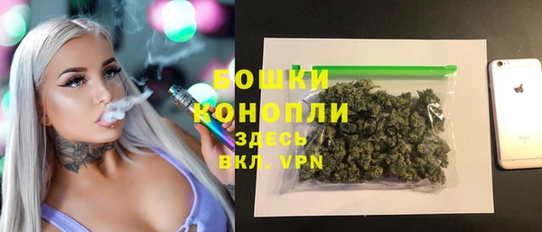 молекула духа Волосово