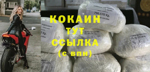 молекула духа Волосово