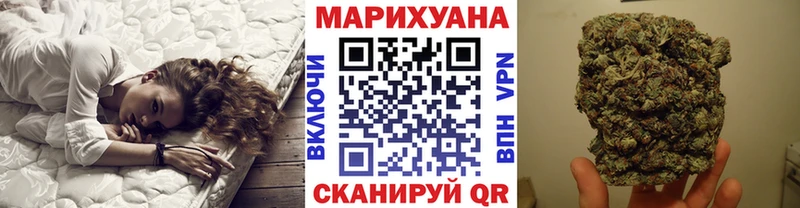 Конопля сатива  Кимовск 